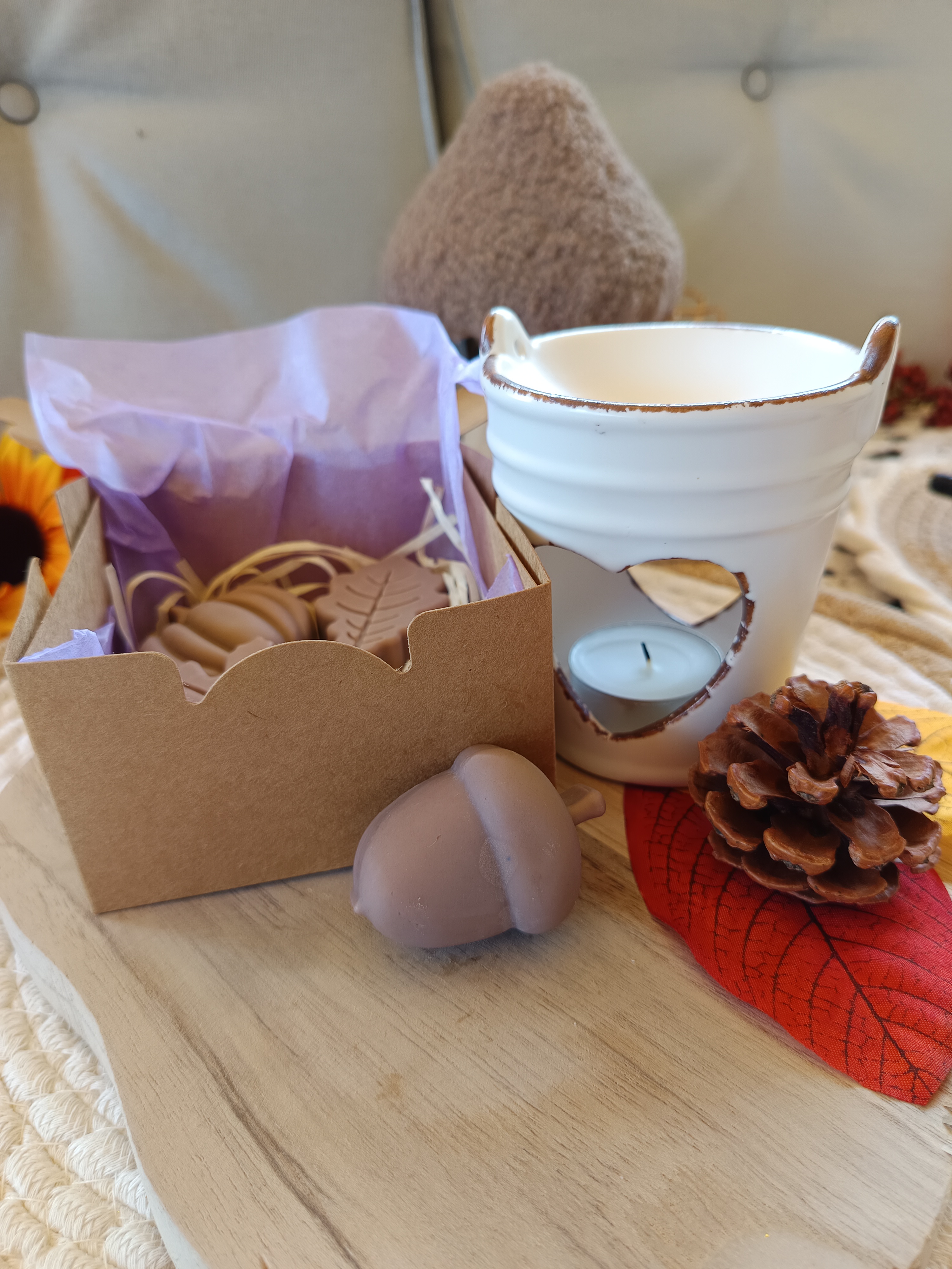 Kürbisliebe Duftmelts - 4 große Duftmelts - Forbidden Pumpkin