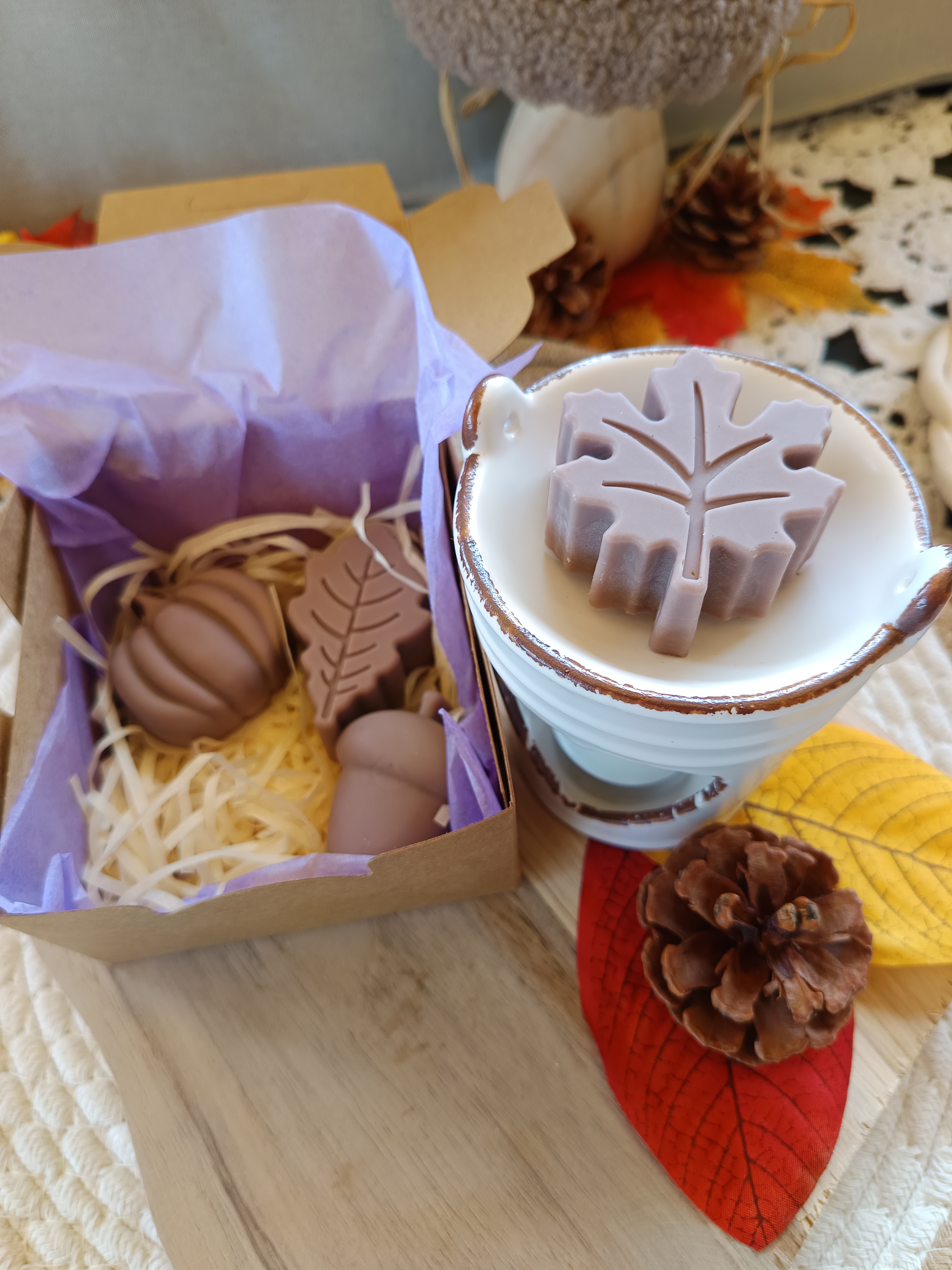 Kürbisliebe Duftmelts - 4 große Duftmelts - Forbidden Pumpkin