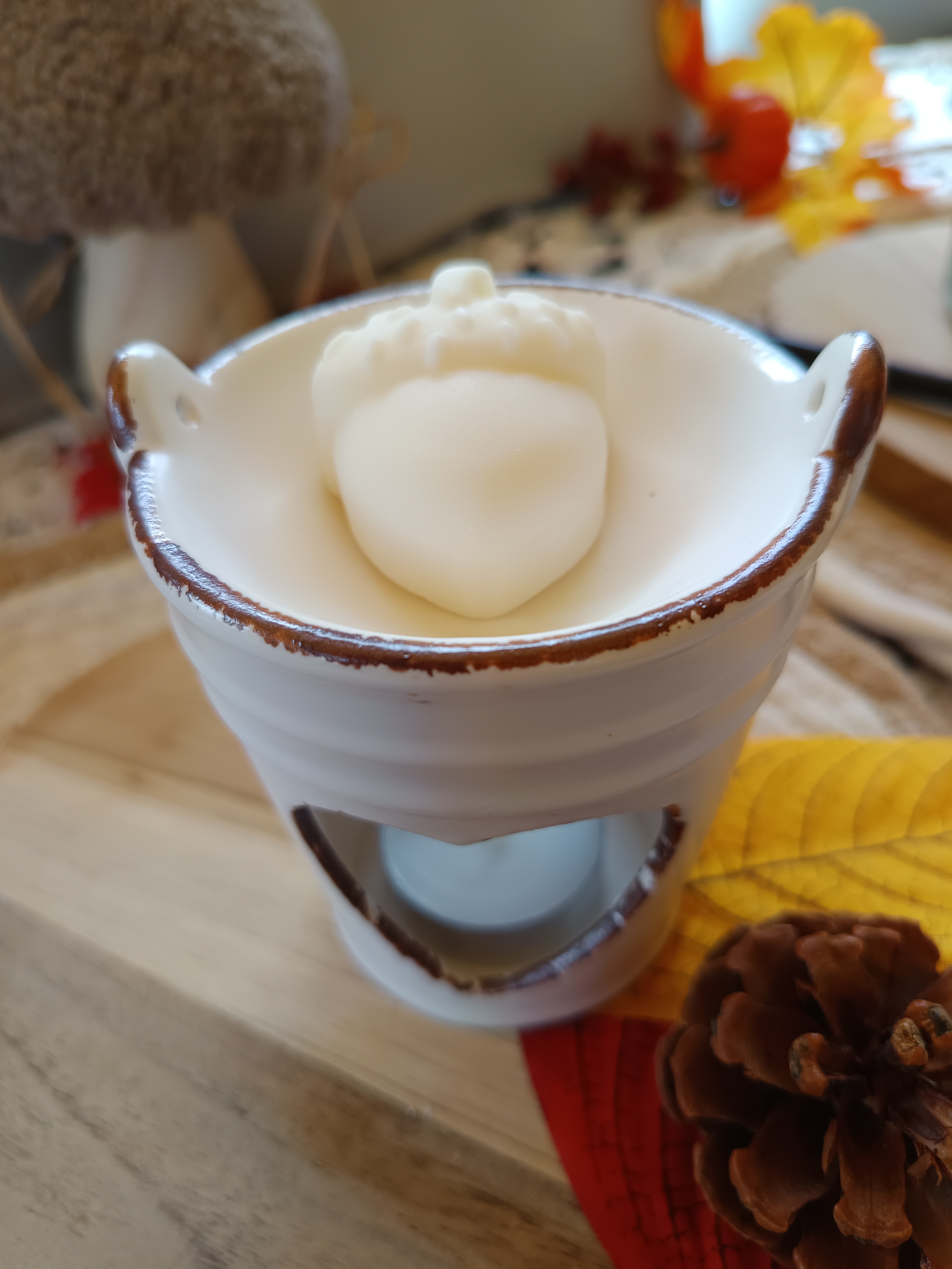 Kürbisliebe Duftmelts - 4 große Duftmelts - Yummy Pumpkin Pie