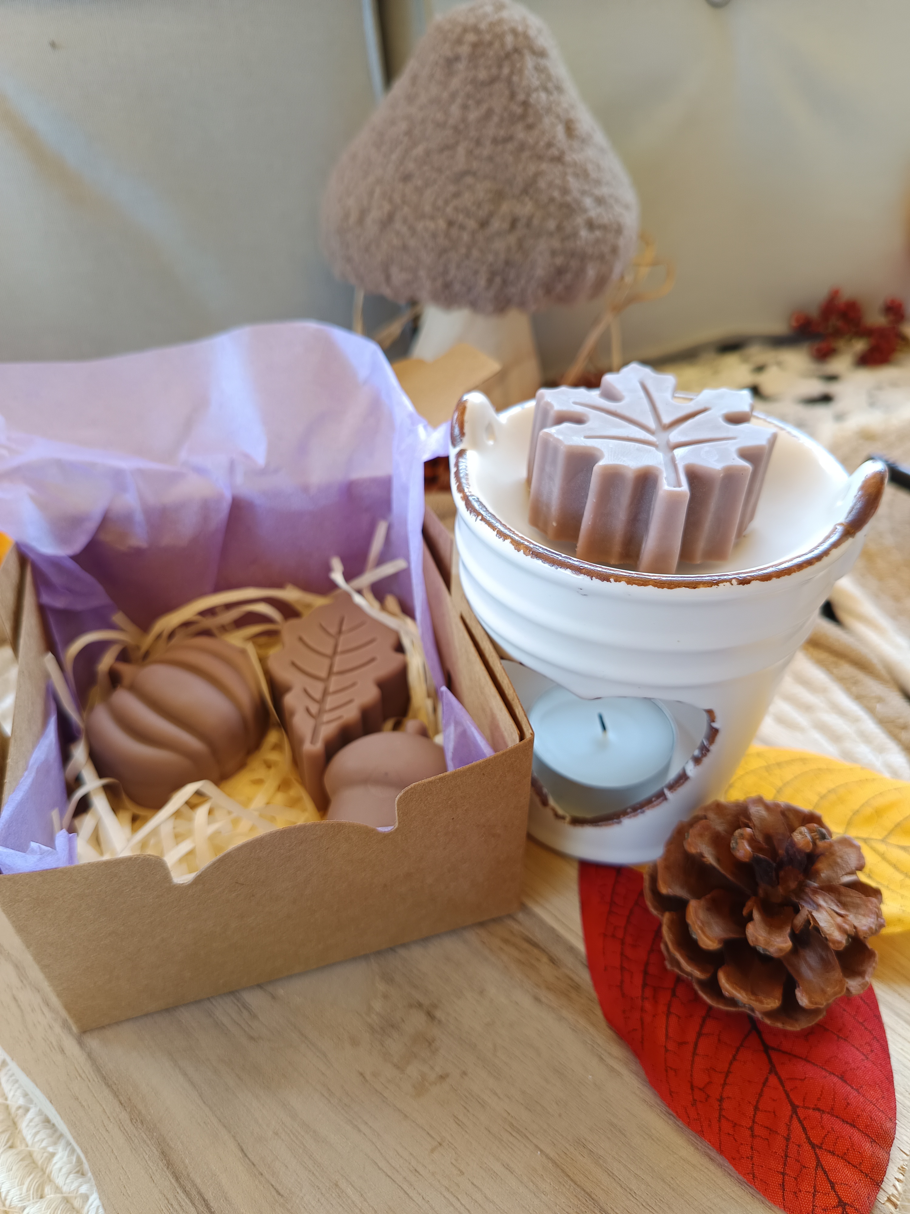 Kürbisliebe Duftmelts - 4 große Duftmelts - Forbidden Pumpkin